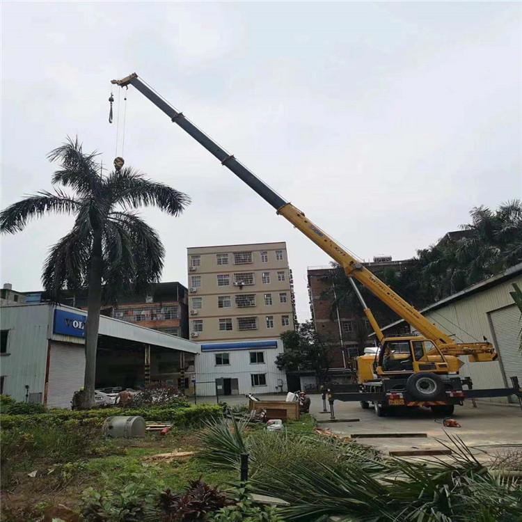 盐亭汽车吊出租多少钱？全面解析与市场行情